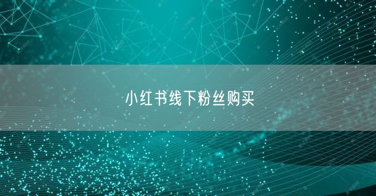 小红书线下粉丝购买